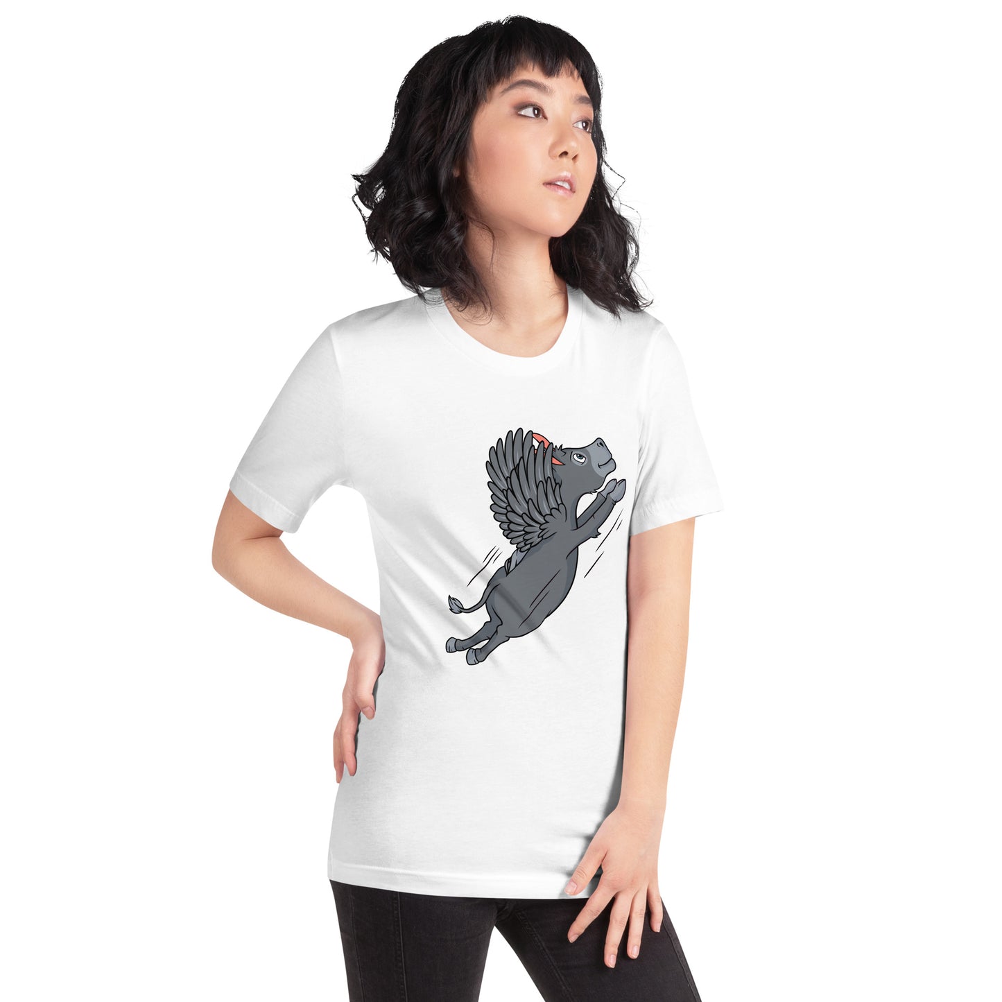 Flying Acer unisex t-shirt